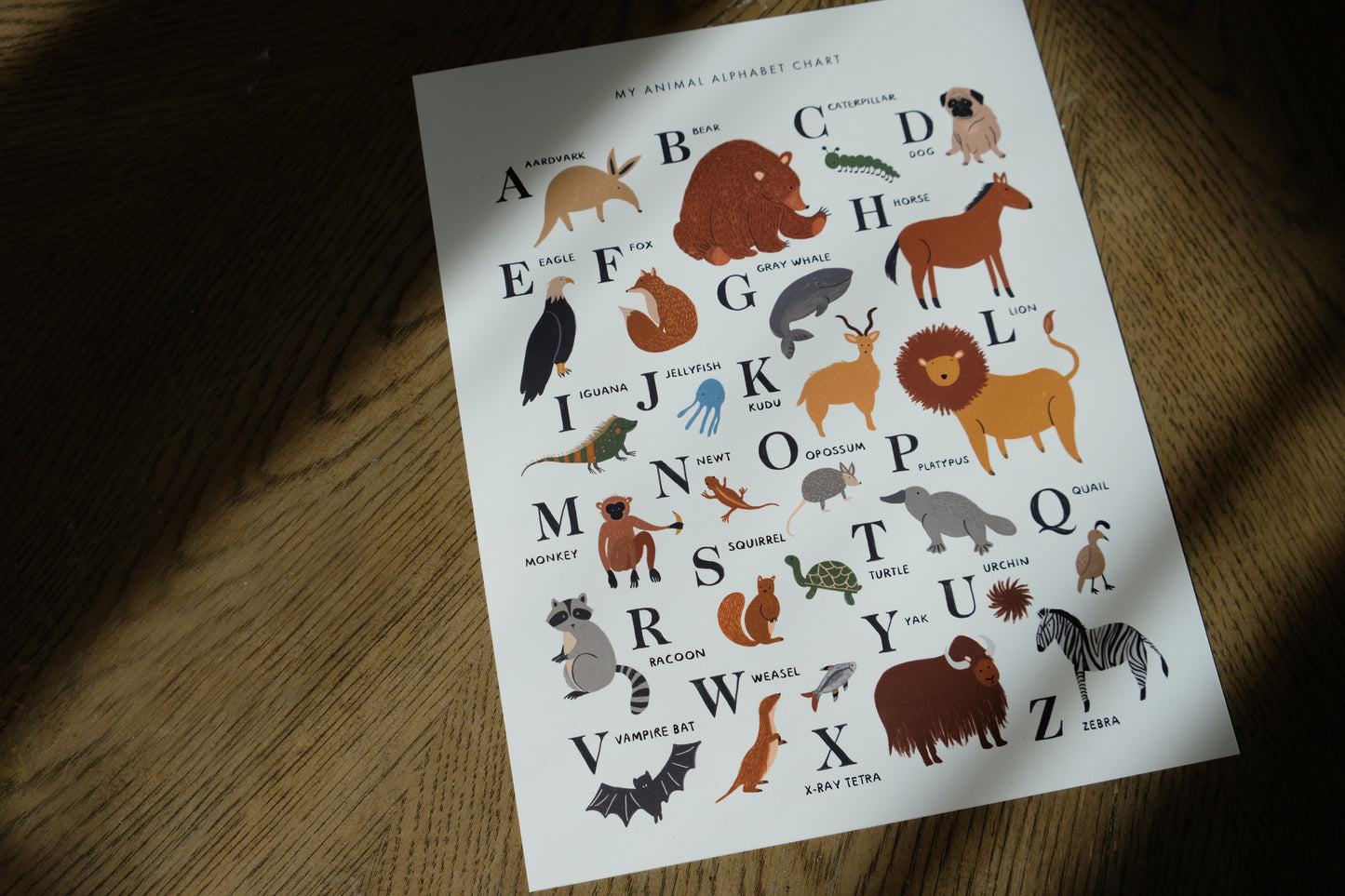 Animal Alphabet Art Print
