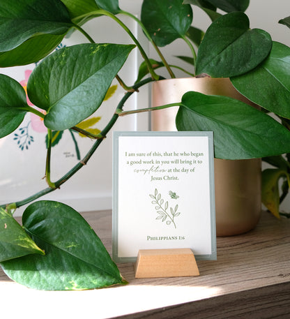 Bible Verse Cards: Truths for Anxious Hearts